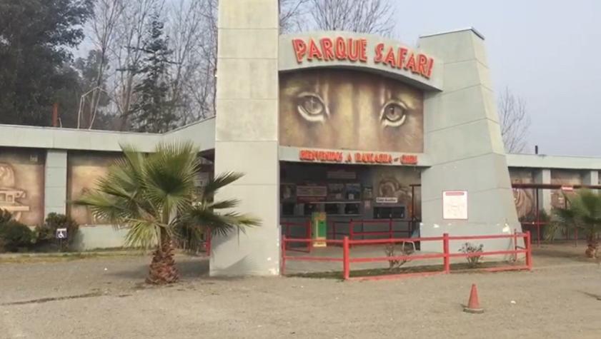 Gerente de Parque Safari de Rancagua donde murió una trabajadora: "Abrieron un recinto con candado"