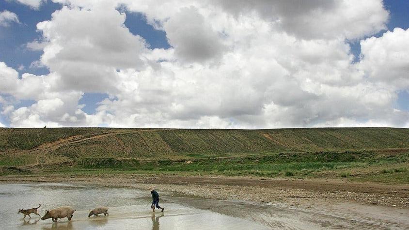 Los principales hallazgos para América Latina del informe de la ONU sobre la crisis climática