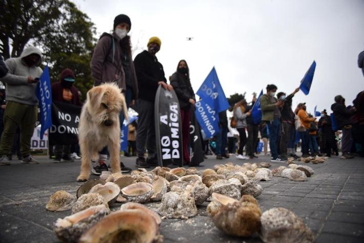 Manifestaciones contra el proyecto Dominga se registran en Coquimbo y La Serena