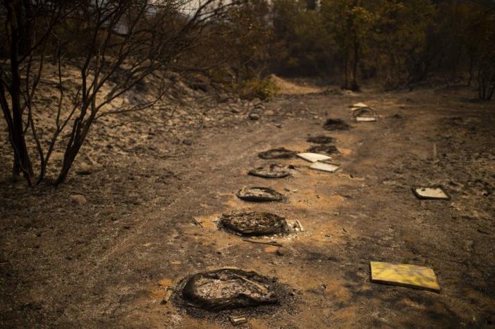 Imágenes satelitales reflejan la voracidad del incendio que azota a Grecia