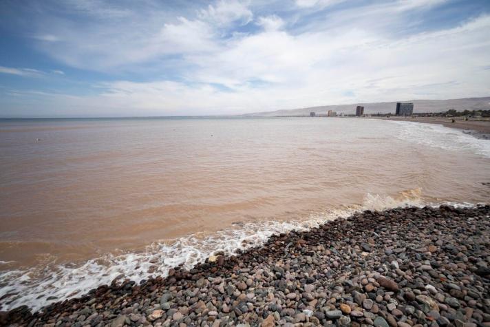 Gobierno realiza operativos de rastreo tras encontrar mina antipersonal en playa de Arica