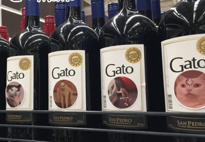 Joven pegó memes de gatos en botellas de vino Gato y la marca lo contactó para trabajar juntos