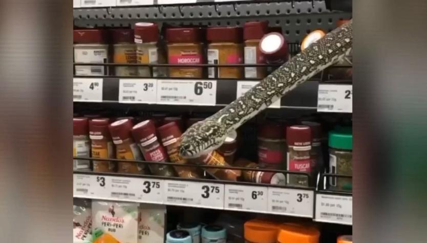Como una escena de Harry Potter: serpiente de tres metros apareció en supermercado de Sídney