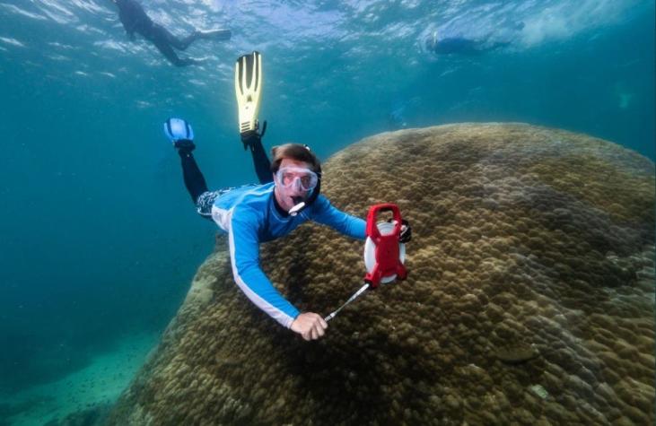 [FOTOS] Hallan en Australia un enorme coral cupular que tiene al menos 400 años de vida
