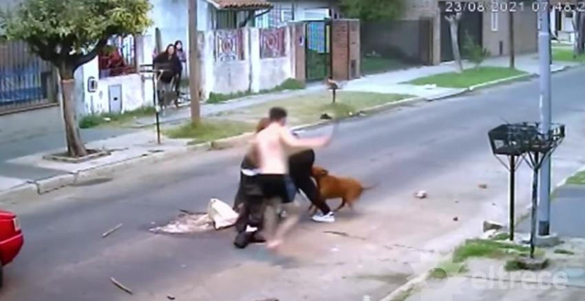 Joven salva a mujer del ataque de un grupo de perros callejeros en Argentina