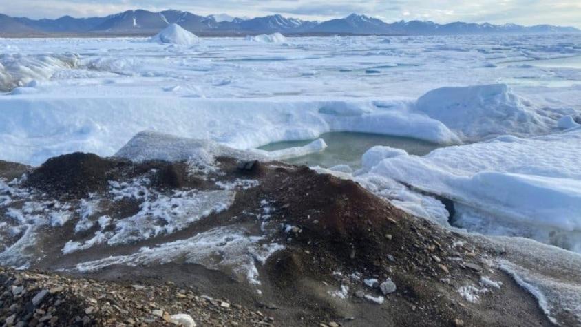 La isla más al norte del planeta que científicos aseguran haber descubierto "por accidente"