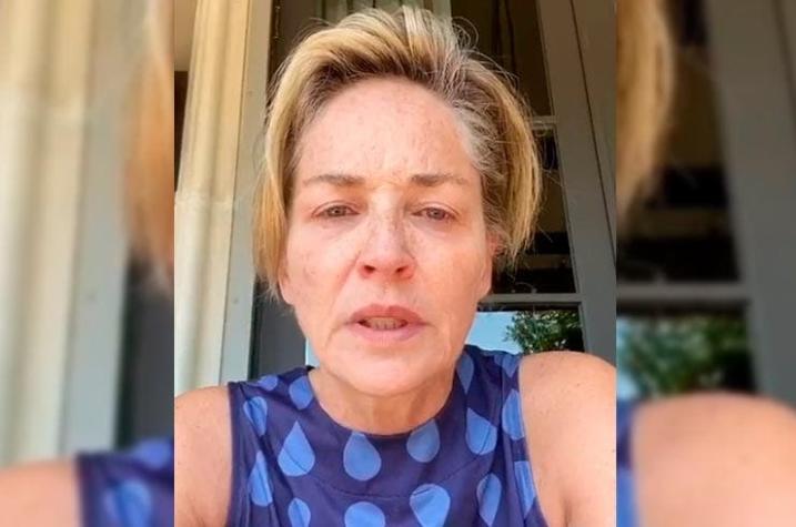 El dolor de Sharon Stone: murió su sobrino de 11 meses tras grave problema de salud