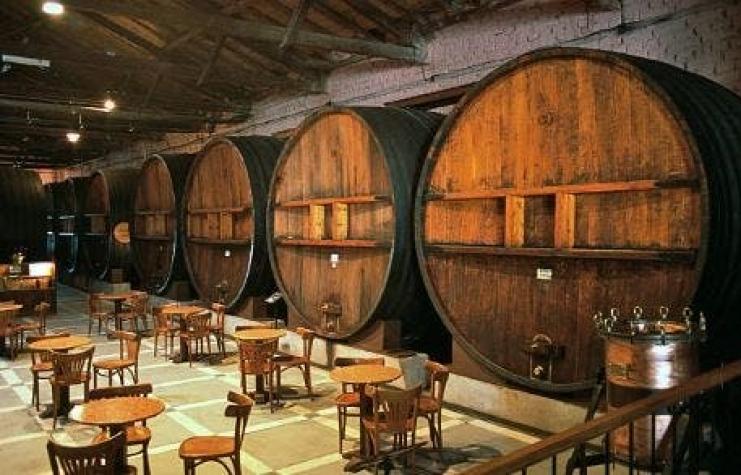 ProChile lanza catálogo de 60 viñas para la nueva categoría  “vinos de nicho”