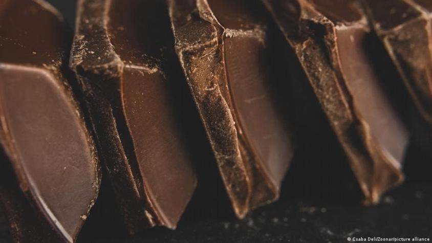 Científicos hallan una fórmula que podría revolucionar la fabricación del chocolate