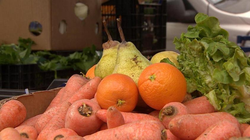 [VIDEO] Microbancos de alimentos: Recuperan hasta 300 kilos de alimentos en ferias libres
