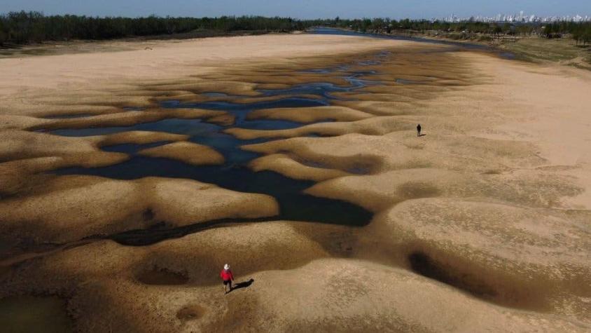 Las impactantes imágenes de la mayor sequía en 77 años del río Paraná