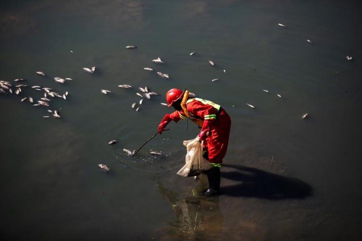 Estamos consumiendo pescado contaminado por los residuos electrónicos que enviamos a África