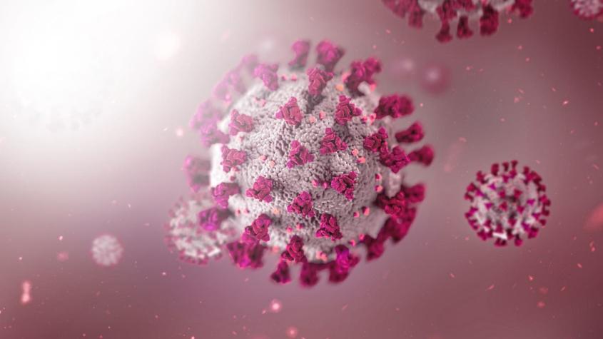 Experta define la aparición de variantes de coronavirus como "un proceso armamentista"