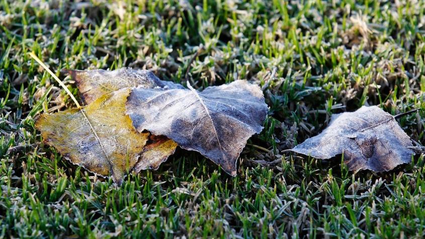 Hasta -2°C: Extienden alerta por heladas para seis regiones del país