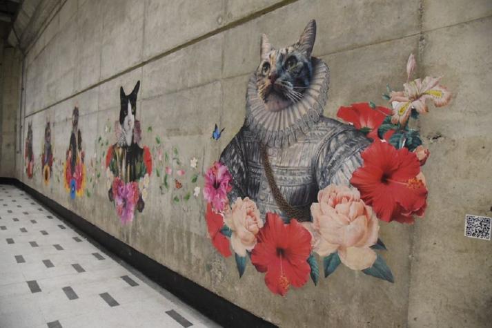"El Reino de los Gatos": la intervención artística que se toma el Metro de Santiago