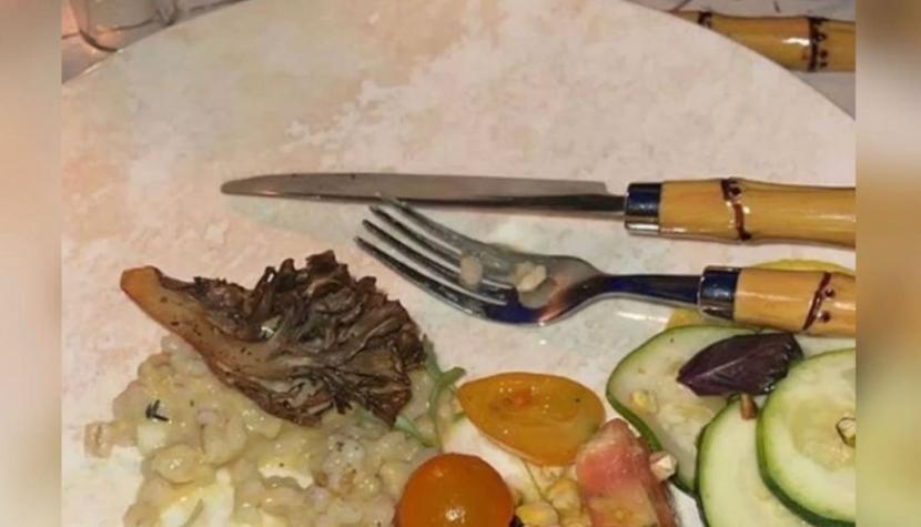 "Por esto no les muestran la comida": actriz criticó el "pobre" menú vegano servido en la Met Gala