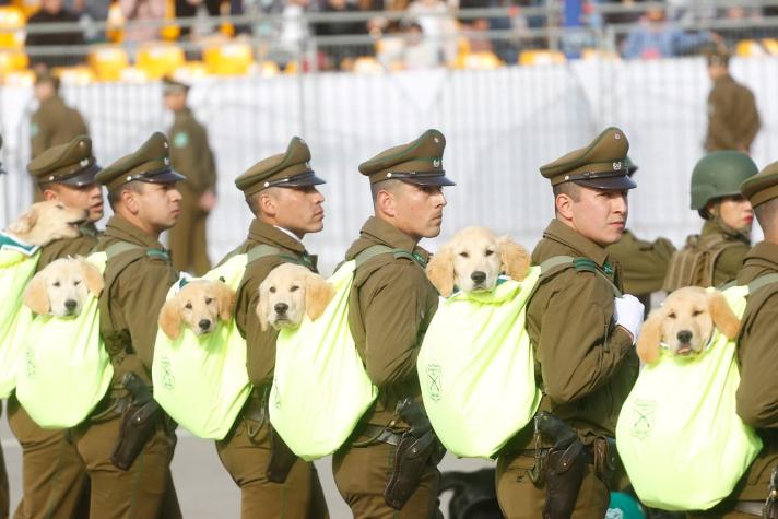 Revisa el horario y dónde ver la Parada Militar 2021