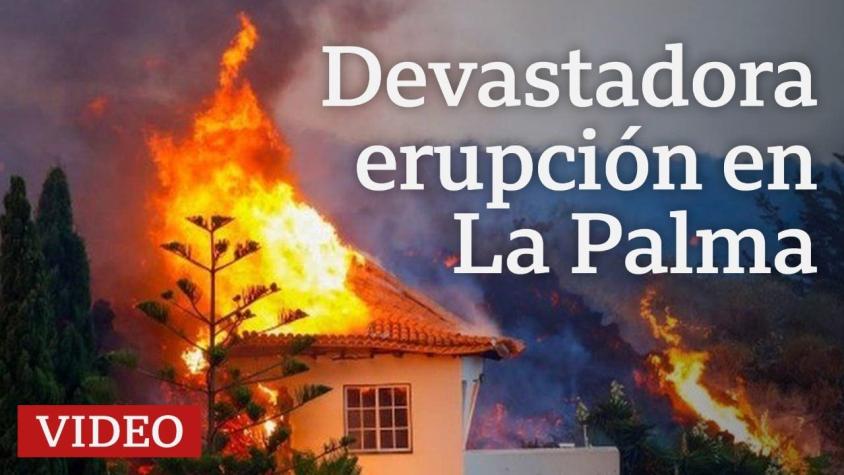 Volcán de La Palma: la lava arrasa con decenas de casas en pueblos de las Islas Canarias