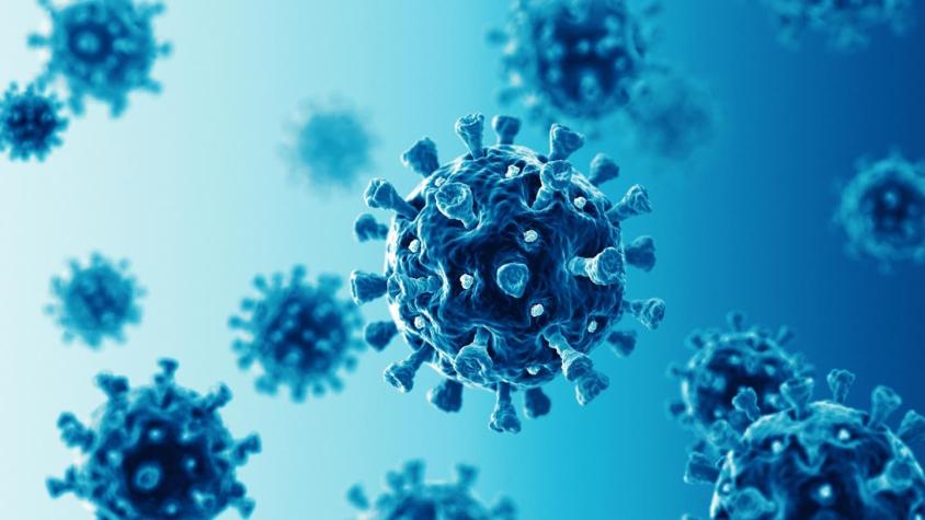Coronavirus: variante R.1 con origen en Japón podría evadir inmunidad de personas vacunadas