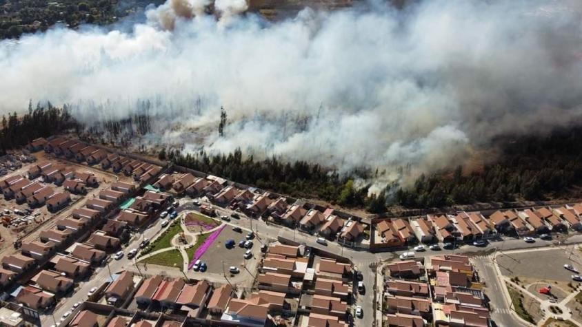 Declaran alerta roja en Ovalle por incendio forestal en La Chimba cercano a sectores poblados