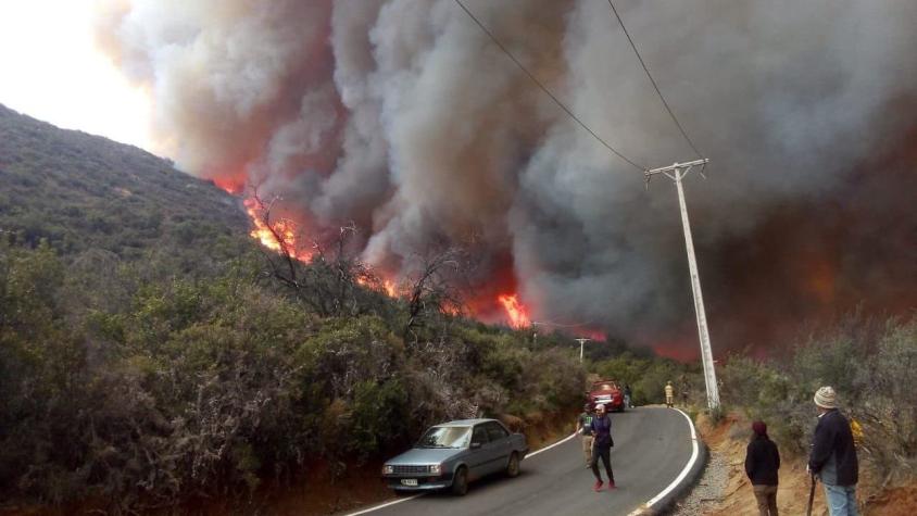 Alerta roja en Tiltil por incendio forestal: Al menos 12 viviendas consumidas