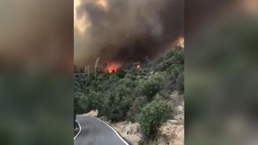 [VIDEO] Los impactantes registros del incendio forestal en Tiltil que ha consumido viviendas