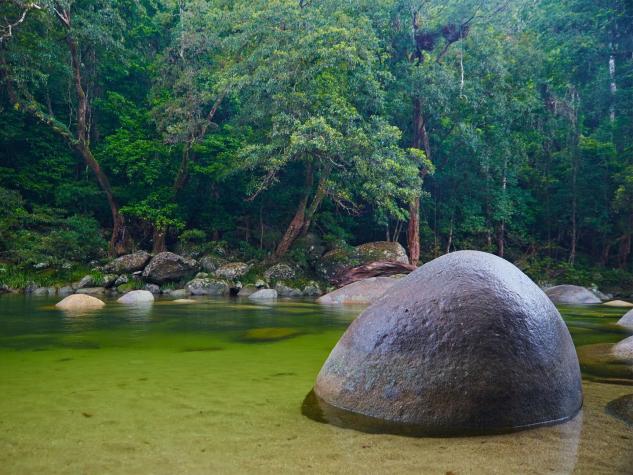 Indígenas recuperan propiedad de bosque lluvioso Daintree en Australia