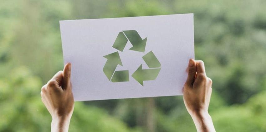 Agenda Sustentable: Cómo cuidar el medio ambiente desde tu hogar o empresa
