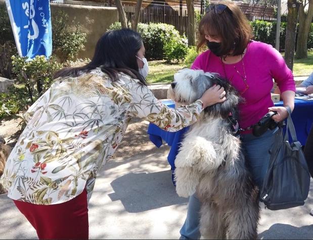 Crematorio Municipal gratuito para mascotas es inaugurado en Las Condes