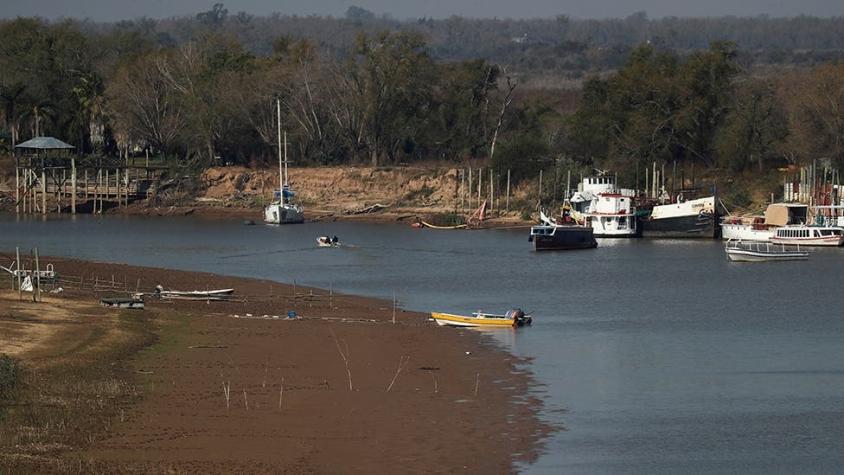 3 problemas inesperados que está generando en Sudamérica la histórica sequía del río Paraná