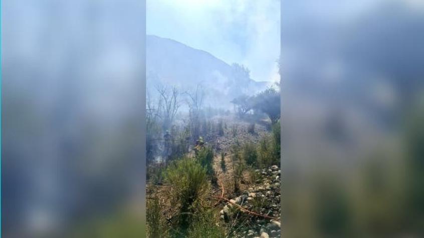 Onemi declara alerta roja en Salamanca por incendio forestal