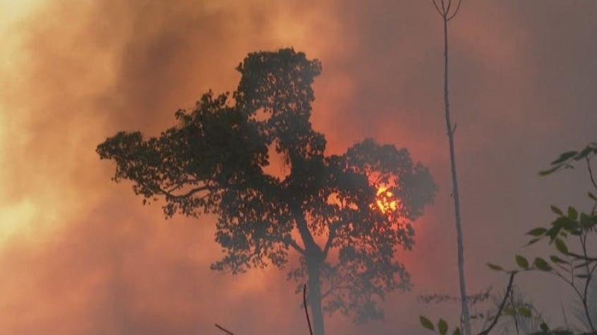 [VIDEO] Por deforestación de la Amazonía: Bolsonaro demandado por crímenes contra la humanidad