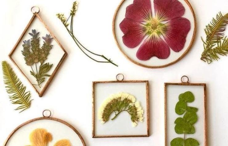 [VIDEO] Brisa Estudio: Emprendedora busca entregar energía positiva con sus cuadros botánicos