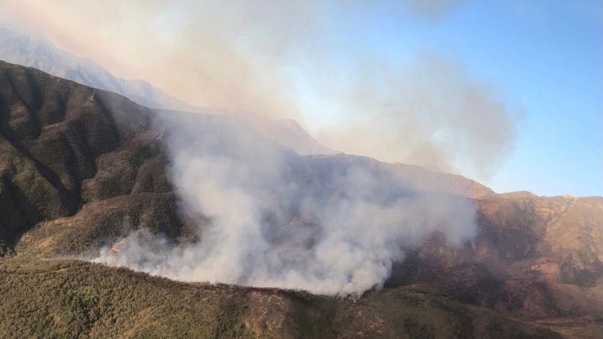 Alerta amarilla por Incendio forestal en Limache: Siniestro consume ceca de 30 hectáreas