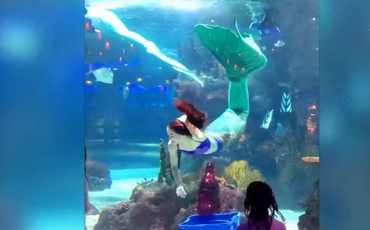 [VIDEO] Sabina Rose, la sirenita de la vida real que se gana la vida en un acuario