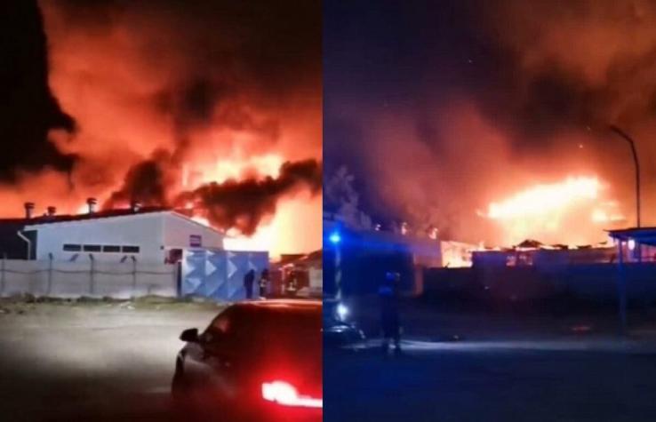 [VIDEO] Incendio afectó a fábrica de quesos Quillayes en Calera de Tango