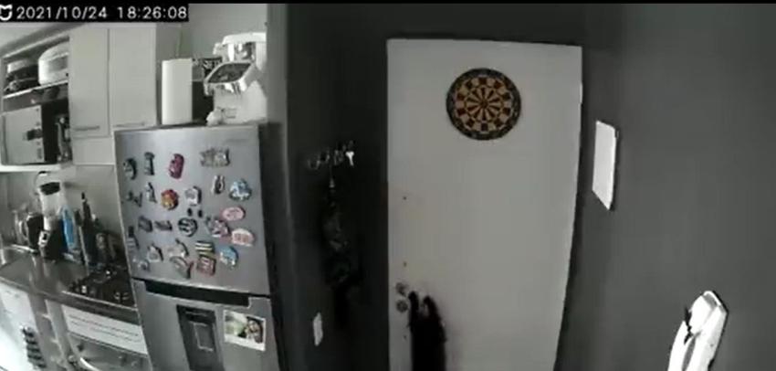 Increíble: Joven se quedó fuera de su departamento y gato le abrió la puerta
