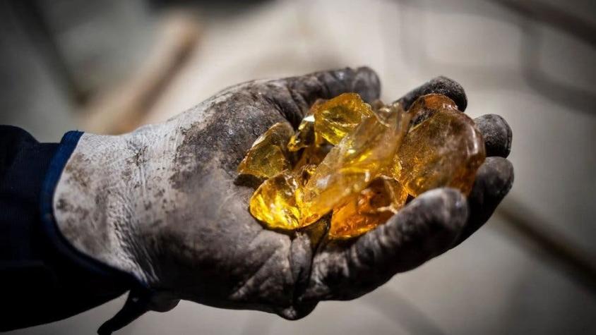Qué es el "oro líquido" que se esconde en los bosques de España