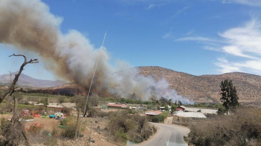 Declaran alerta roja en Ovalle por incendio forestal que podría afectar a viviendas