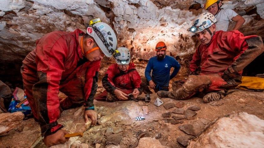 El extraordinario hallazgo de una canoa milenaria durante las obras del Tren Maya en México