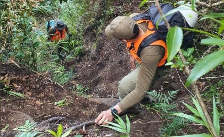 Carabineros halla con vida a mujer que estaba perdida hace seis días en Puerto Varas