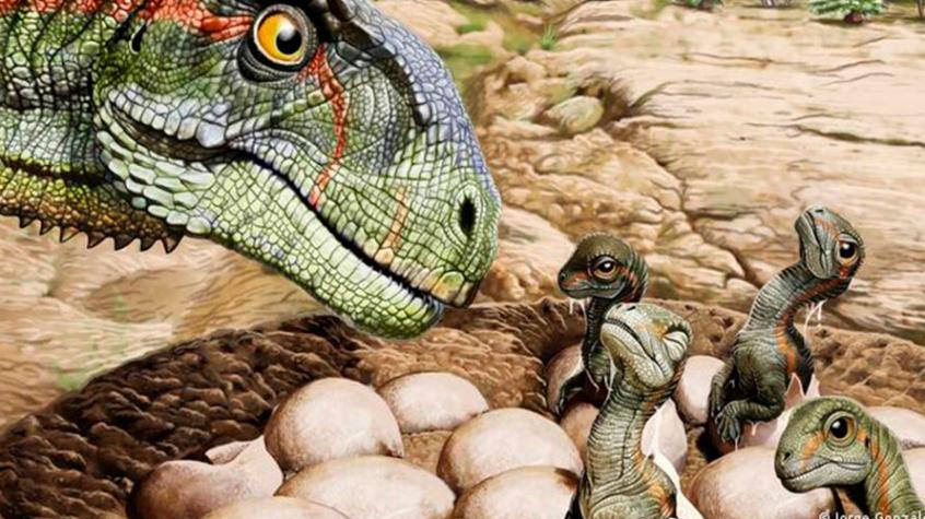 Encuentran nido con más de 100 huevos de dinosaurios en la patagonia argentina