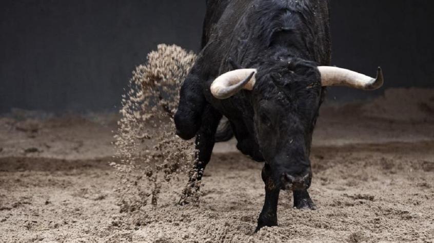 Hombre muere desangrado tras sufrir cornada de un toro en España: Lo impactó de lleno en el muslo