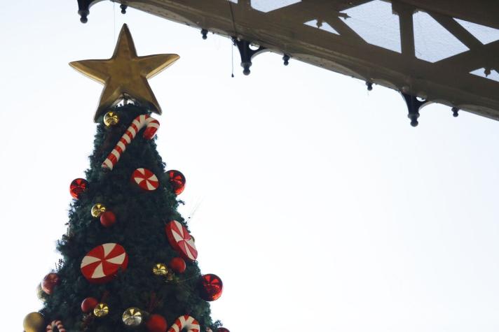 FOSIS abre más de 700 cupos para feria virtual de Navidad: Revisa cómo postular