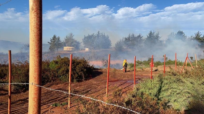 Alerta Roja en Valparaíso: Incendio forestal en Laguna Verde amenaza viviendas