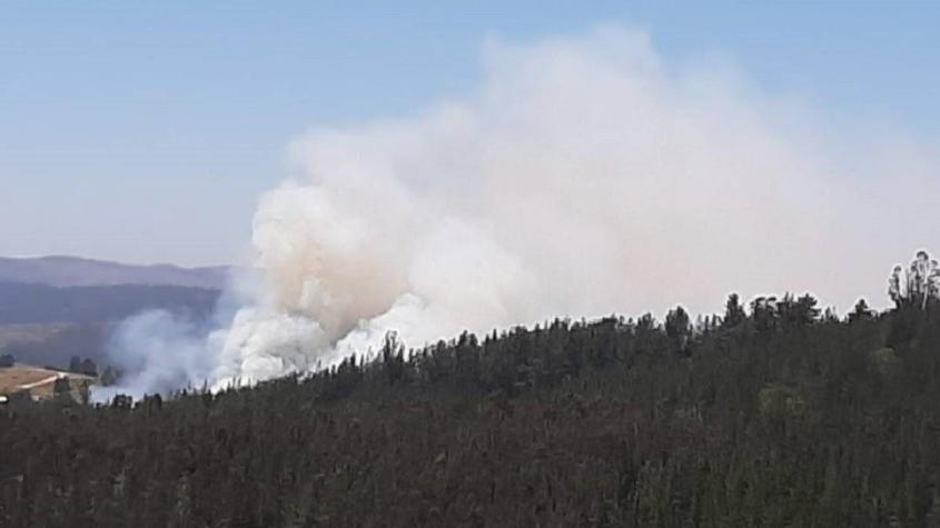 Declaran alerta roja por incendio forestal en Paredones: Amenaza sectores habitados