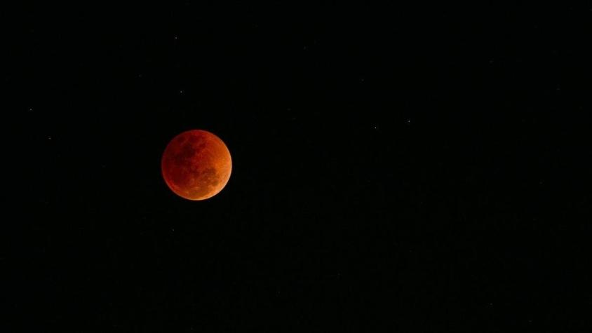 Eclipse de Luna: Día, hora y desde dónde ver el último gran evento astronómico del 2021 en Chile