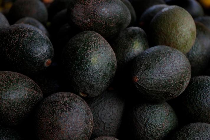 ¿No más guacamole?: Chefs del mundo optan por no usar más la palta y harán recetas sin el fruto