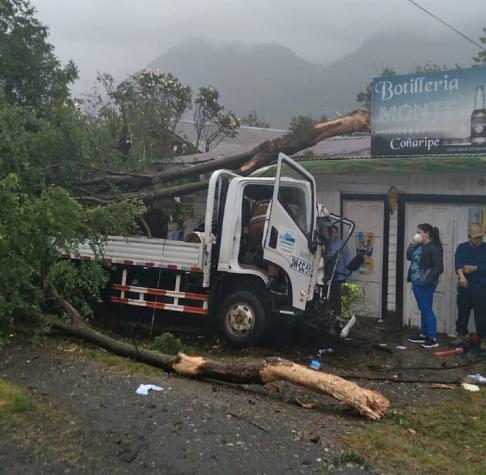 Joven en estado de ebriedad robó camión de comité de agua y lo chocó contra un árbol en Coñaripe