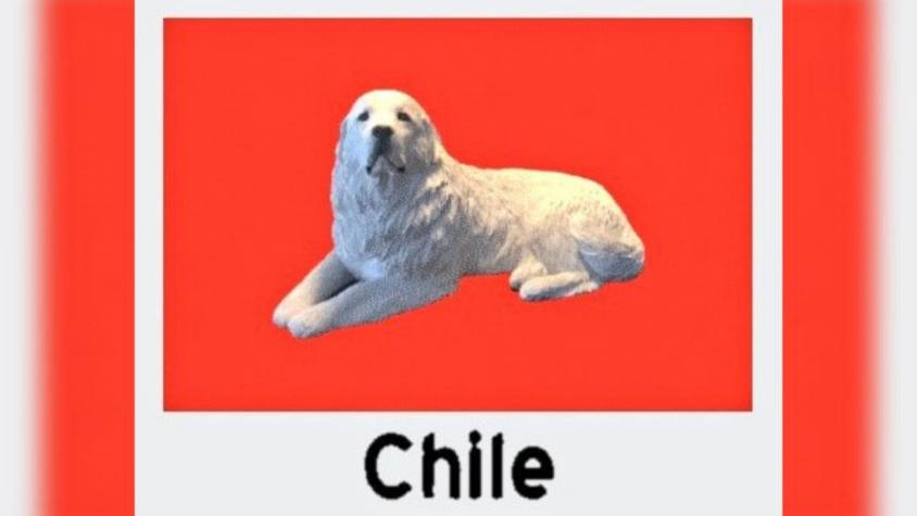 Inteligencia artificial crea banderas en base a información de internet… y Chile es un perrito